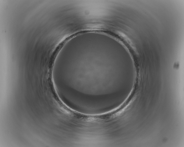 X0000090441449200707272144