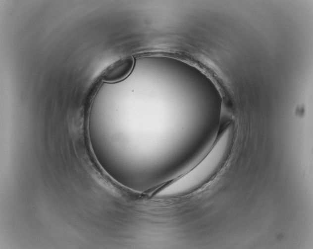 X0000090441450200707272144