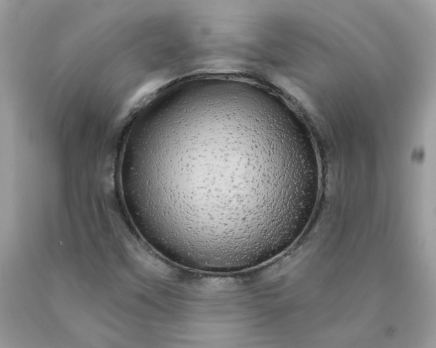 X0000090441451200707272144