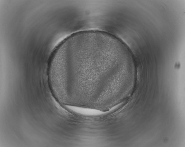 X0000090441452200707272144