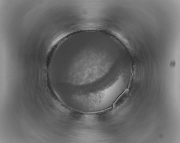 X0000090441453200707272144