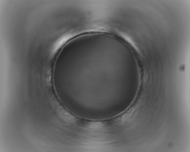 X0000090441455200707272144