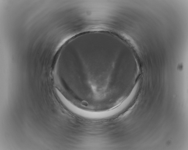 X0000090441457200707272144