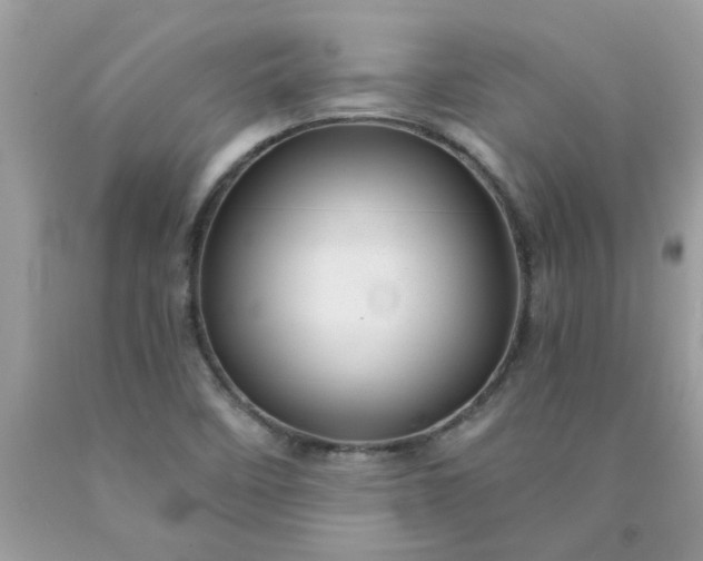 X0000090441458200707272144