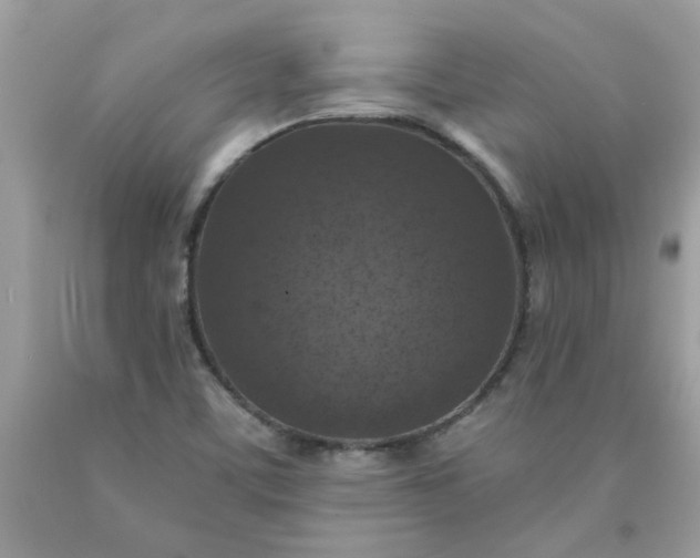 X0000090441459200707272144