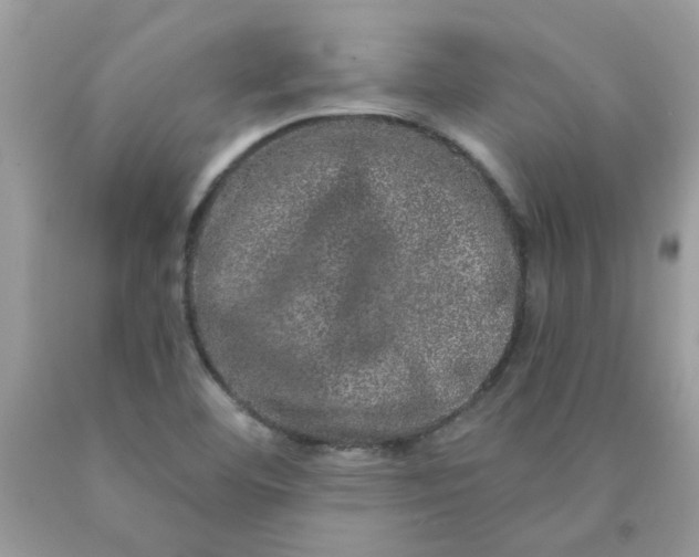 X0000090441460200707272144