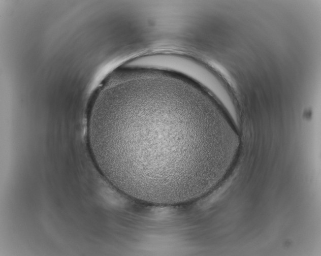 X0000090441461200707272144