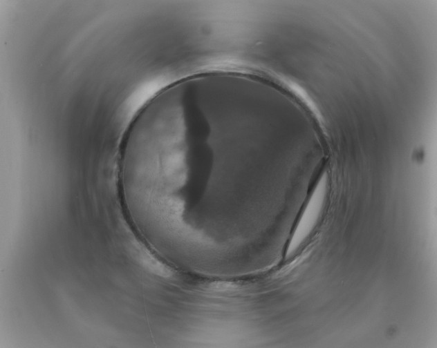 X0000090441463200707272144