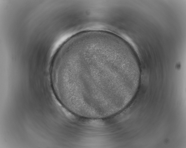 X0000090441464200707272144