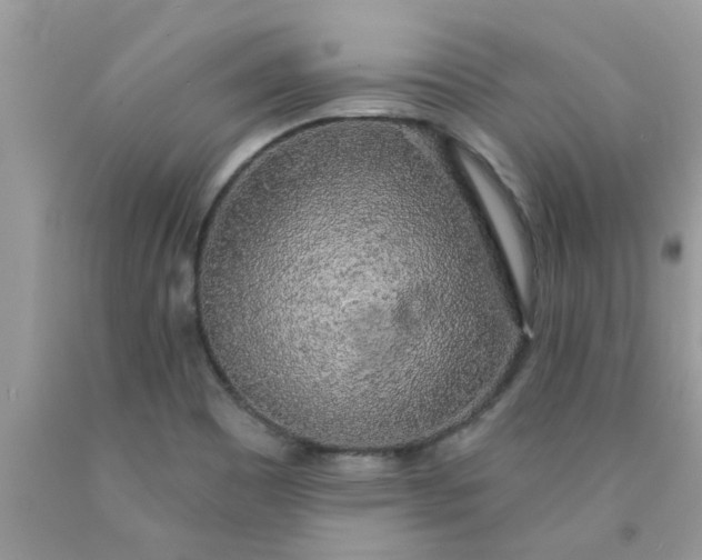 X0000090441465200707272144