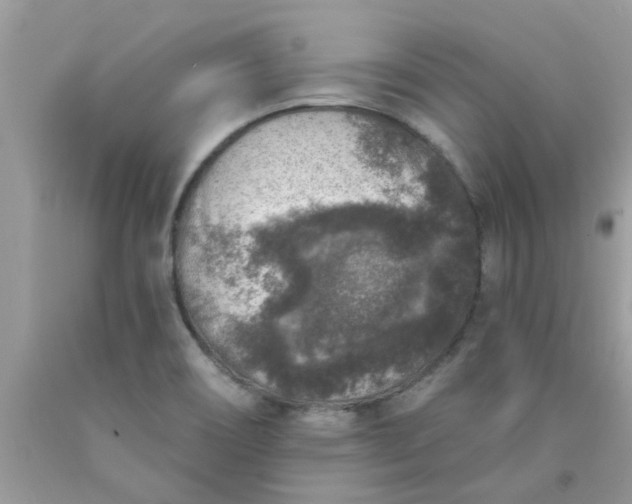 X0000090441466200707272143