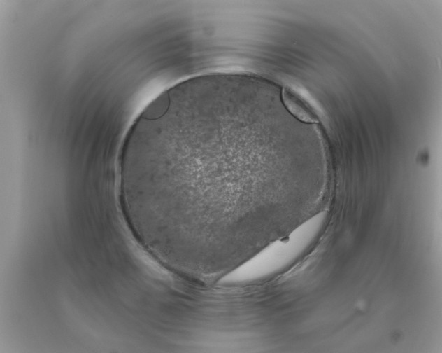 X0000090441467200707272143