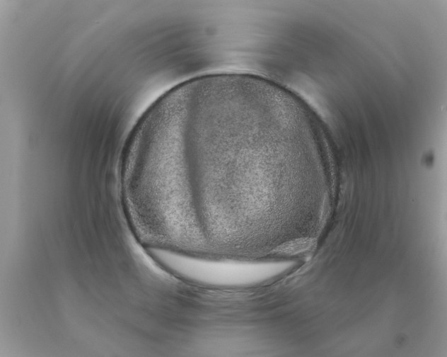 X0000090441468200707272143