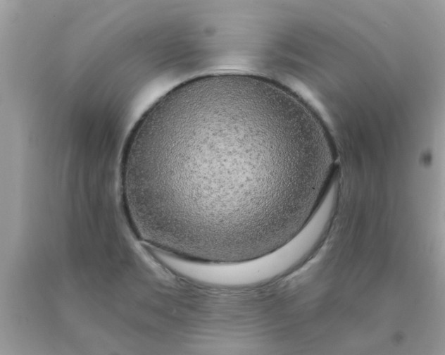 X0000090441469200707272143