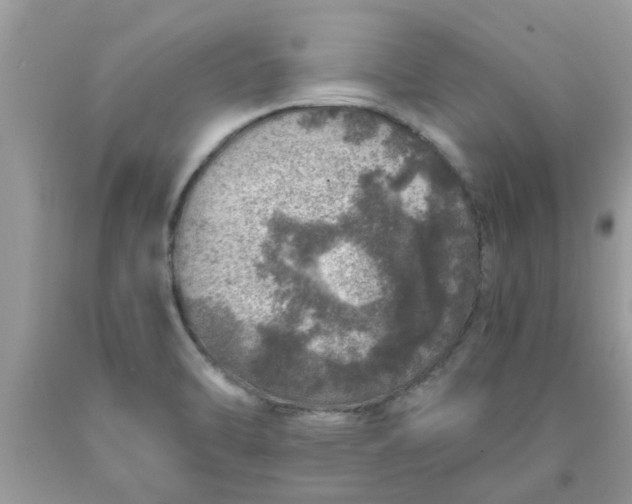 X0000090441470200707272143