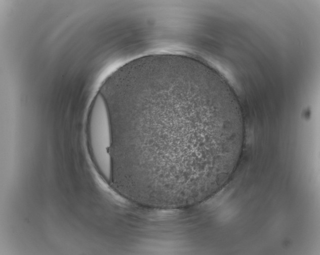 X0000090441471200707272143