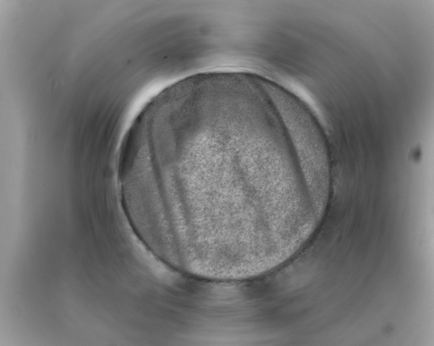 X0000090441472200707272143