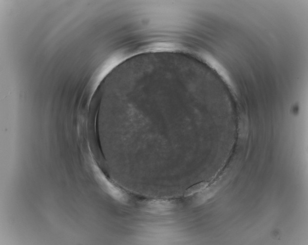 X0000090441473200707272143