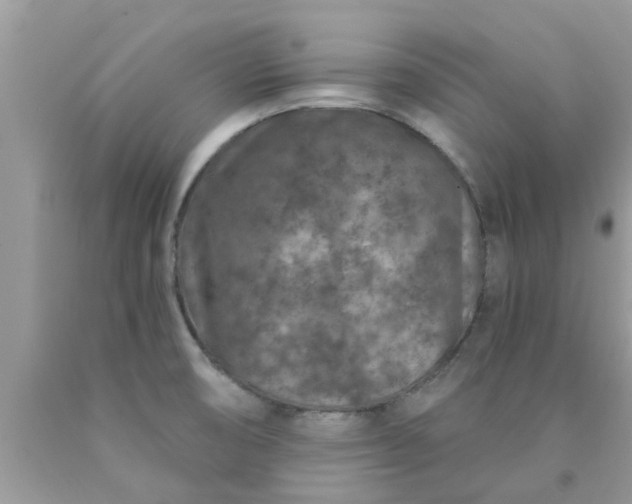 X0000090441474200707272143