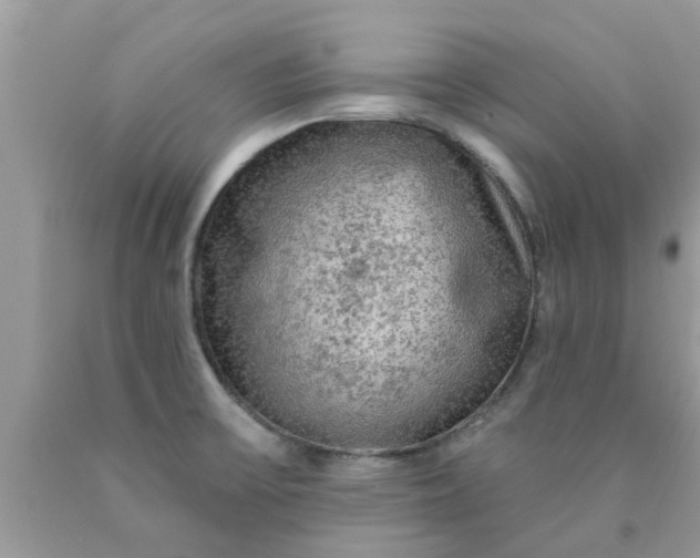 X0000090441475200707272143