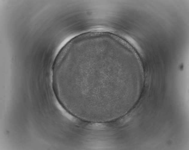 X0000090441476200707272143