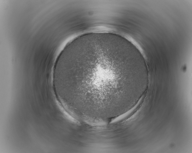 X0000090441477200707272143