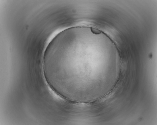 X0000090441478200707272143