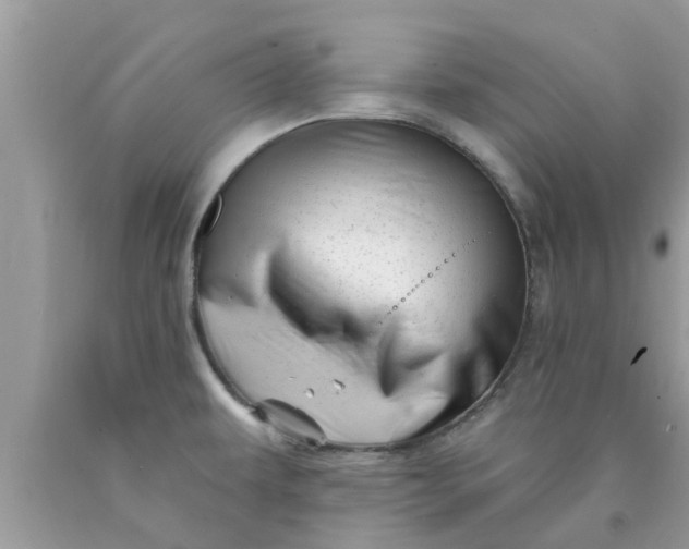 X0000090441479200707272143