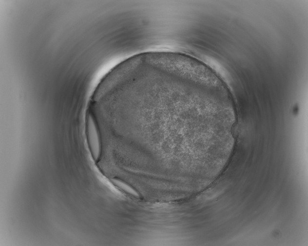 X0000090441480200707272143