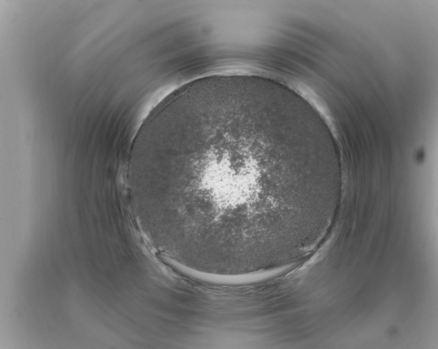 X0000090441481200707272143