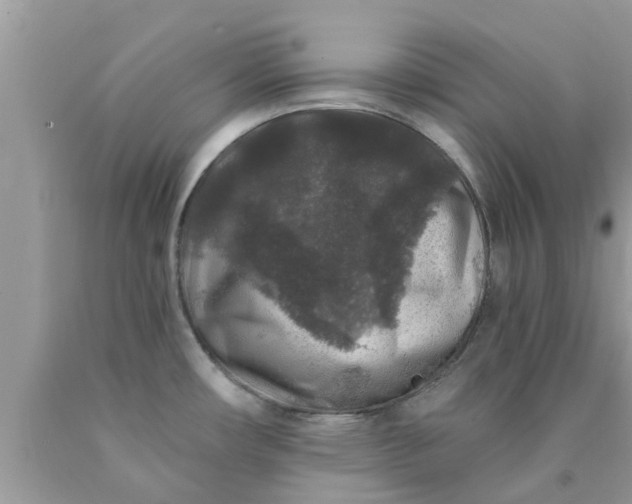 X0000090441482200707272143