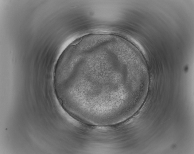 X0000090441483200707272143