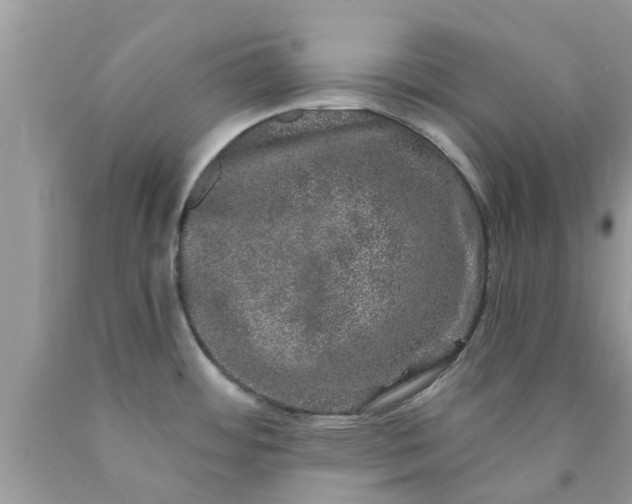 X0000090441484200707272143