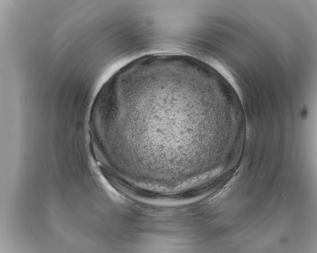 X0000090441485200707272143