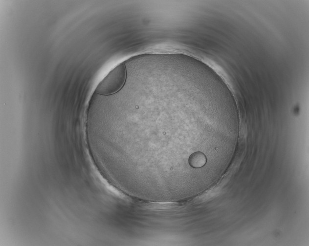 X0000090441486200707272143