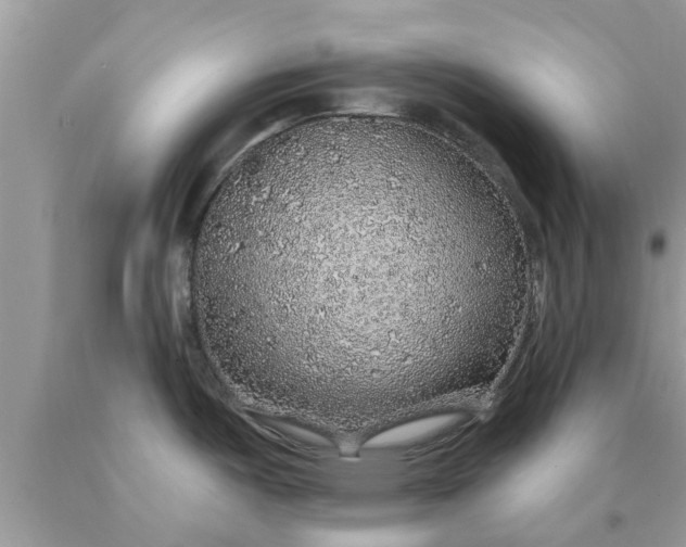 X0000090441487200707272143