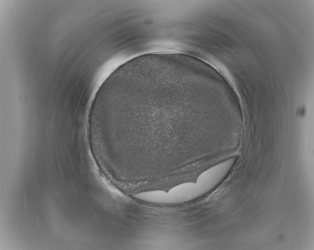 X0000090441488200707272143