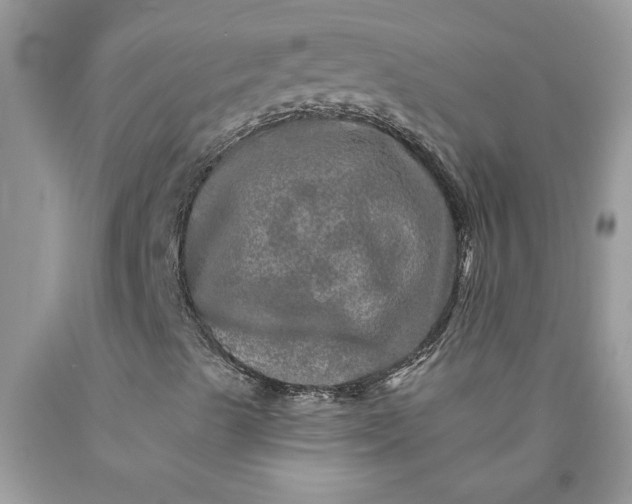 X0000090441489200707272142