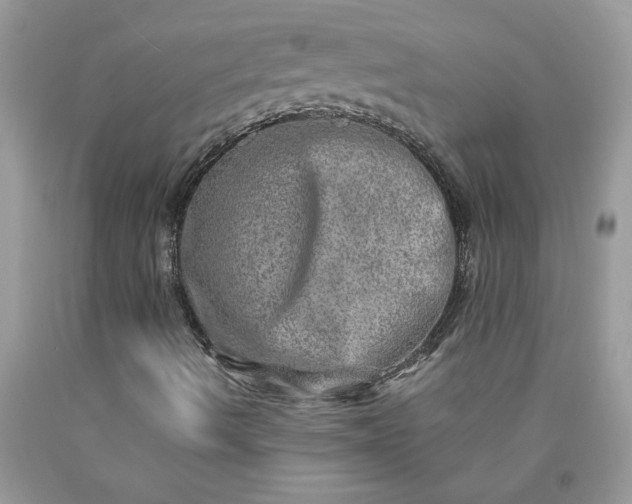 X0000090441490200707272142