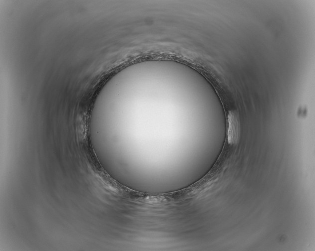 X0000090441491200707272142