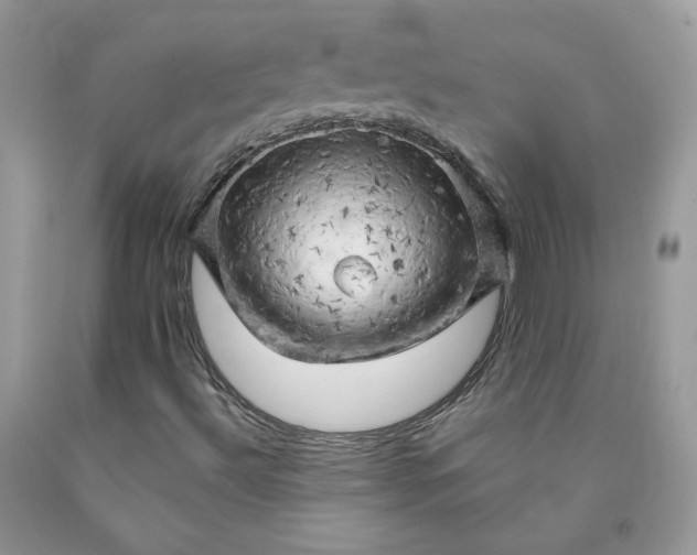 X0000090441492200707272142