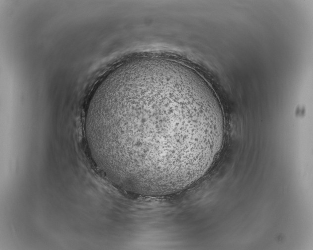 X0000090441493200707272142