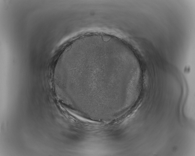 X0000090441494200707272142