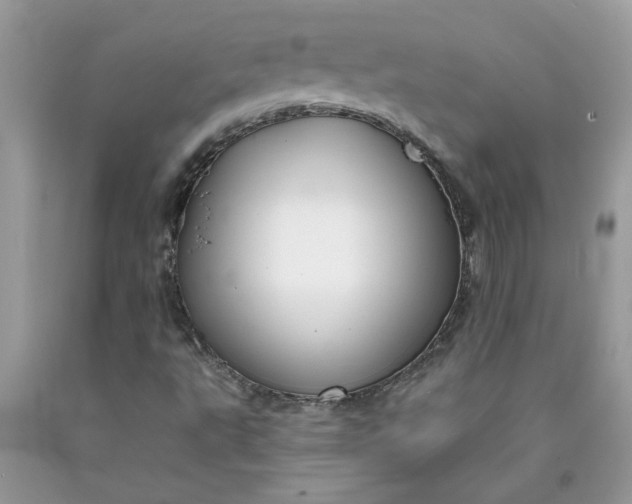 X0000090441495200707272142