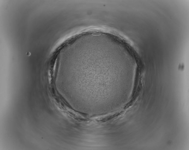 X0000090441496200707272142