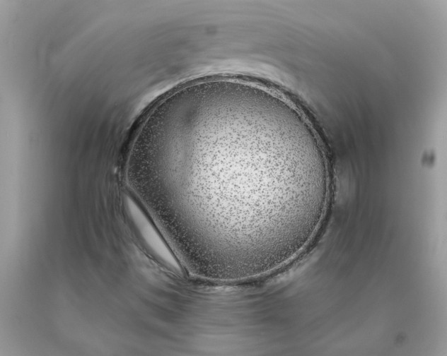 X0000090441497200707272142