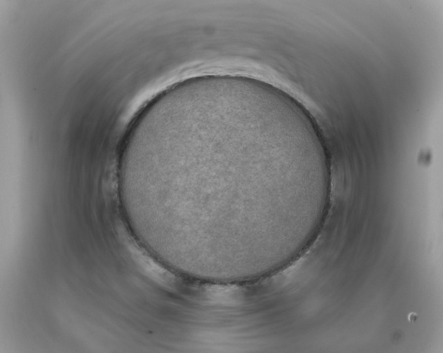 X0000090441498200707272142