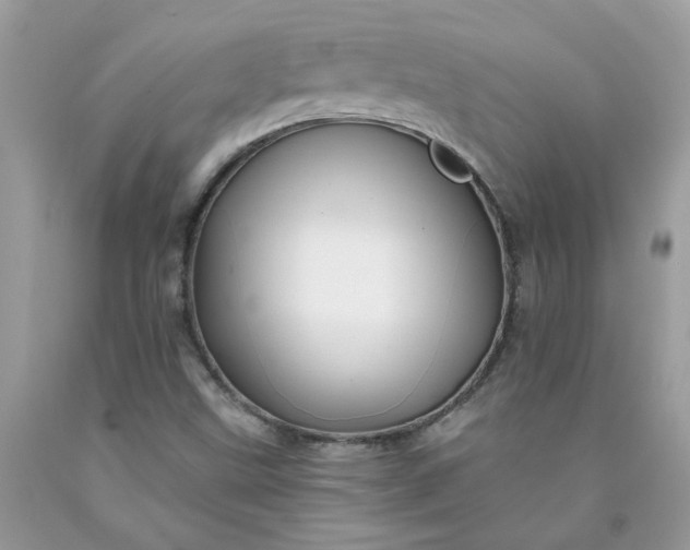 X0000090441499200707272142