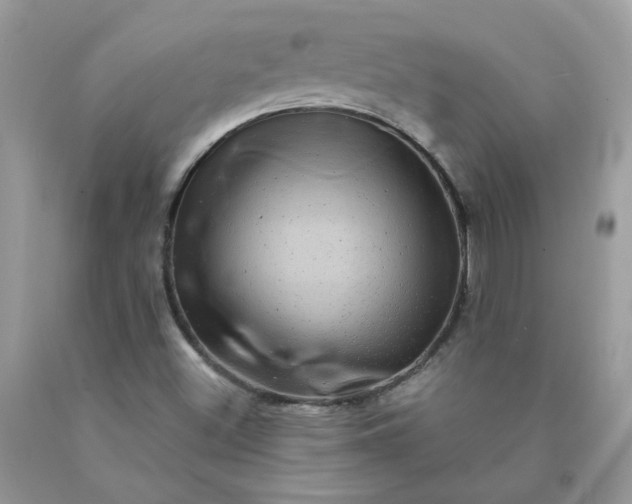 X0000090441500200707272142