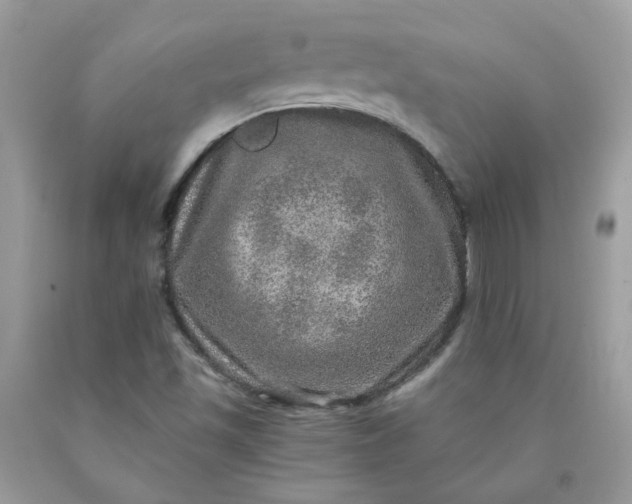 X0000090441501200707272142